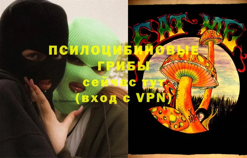 Галлюциногенные грибы Psilocybine cubensis  blacksprut tor  Усолье-Сибирское 